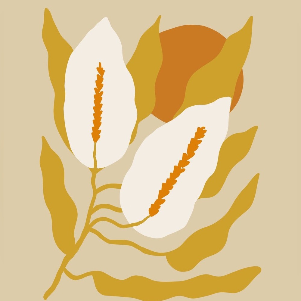 The Coconut Collective Peace Lily Art Print by Aida Salehi NWT!